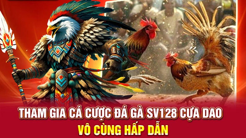 Đá gà cựa dao là một hình thức thi đấu cực kỳ lôi cuốn 