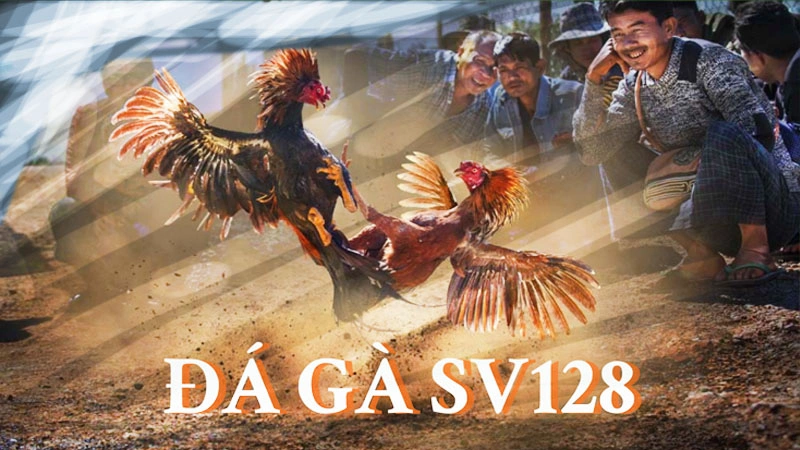 đá gà sv128